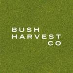 Bush Harvest Co Profile Picture