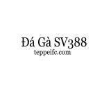 Đá gà SV388 Profile Picture