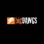 BigDawgs Promotions profile picture