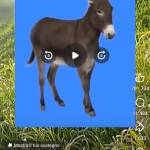 Gghj Uggh Profile Picture