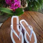 Luis Paladino Profile Picture