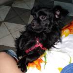 Anyi Rodríguez Profile Picture