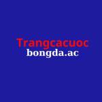 trangcacuocbongda ac Profile Picture