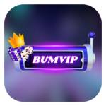 BUMVIP VIP Profile Picture