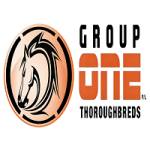 Group One Thoroughbreds Profile Picture