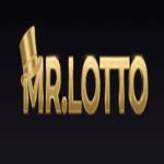 Mr Lotto Profile Picture