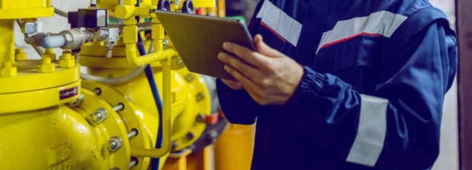 REM Soluciones Cover Image