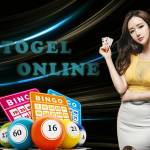 bandartogel resmi Profile Picture