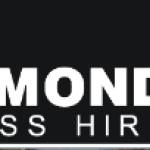 Diamond Access Hire Profile Picture