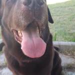 Goras Alexx Profile Picture