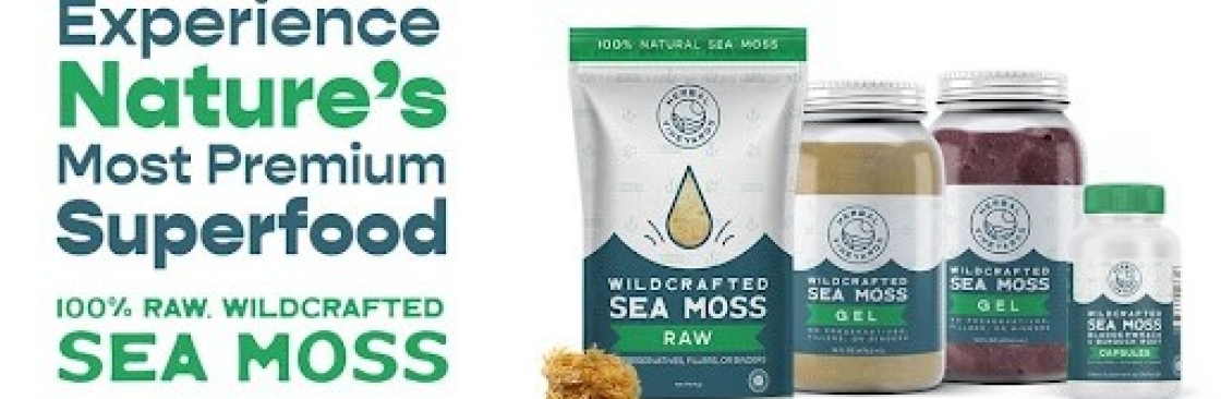 Chris Nwalor Cover Image