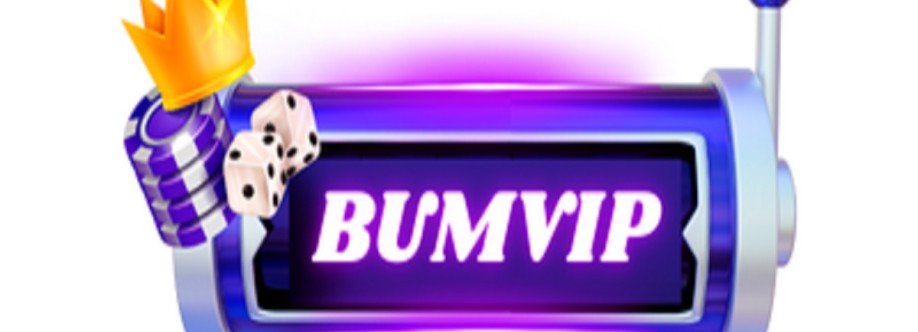 BUMVIP VIP Cover Image