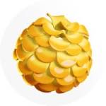 Projet Solaire Profile Picture
