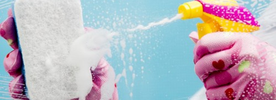Carpet Steam Cleaner Cover Image