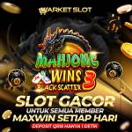 themarket slot Profile Picture