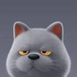 bilal shuja Profile Picture