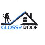 Glossy Roof Profile Picture