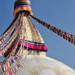 Hiking Adventure Profile Picture