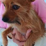 Liz Fox Profile Picture