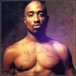 Max Muster Profile Picture