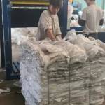 NGUYỄN TRƯƠNG Profile Picture