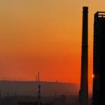 dasheng rou Profile Picture