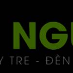 An Nguyên Lighting Profile Picture