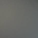 Testguest Testingguest Profile Picture