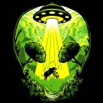 Eder Jose Profile Picture