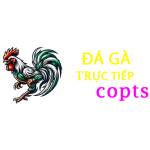Đá Gà Trực Tiếp Thomo Đá Gà Cựa Dao Profile Picture