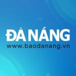 Hα»c Nghα» TΓ³c BΓ‘o ΔΓ  NαΊ΅ng Profile Picture