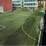 Synthetic Turf Company Ltd Profile Picture