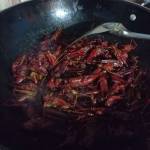 Lita Hdhxhx Profile Picture