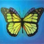 Tanvir Evan Profile Picture