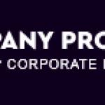 companyprofile design Profile Picture