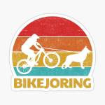 Alex Bene Profile Picture