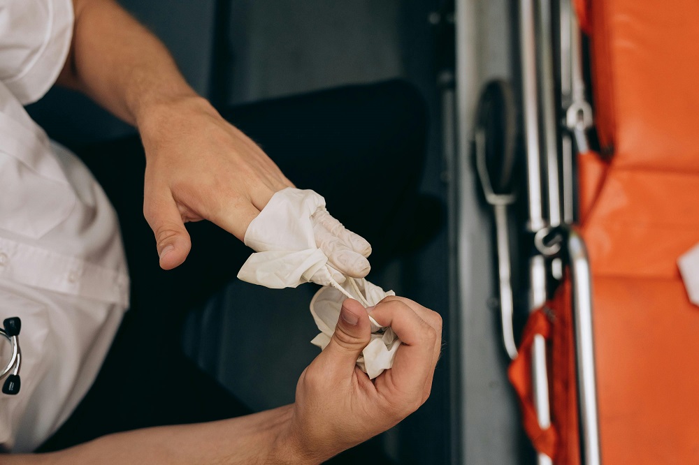 Effective and Humane Squirrel removal service in Burlington - AtoAllinks