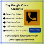 Buy Google Voice Accounts Profile Picture