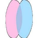 chat nederlands Profile Picture