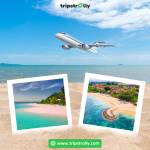 Tripstrolly Travel Profile Picture