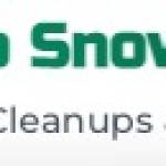 Sun to Snow Landscaping Profile Picture