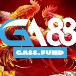 GA 88 Profile Picture