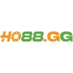 ho88gg ho88gg Profile Picture