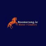 Boomerang Equestrian Ltd T A Boo Country Sto Profile Picture
