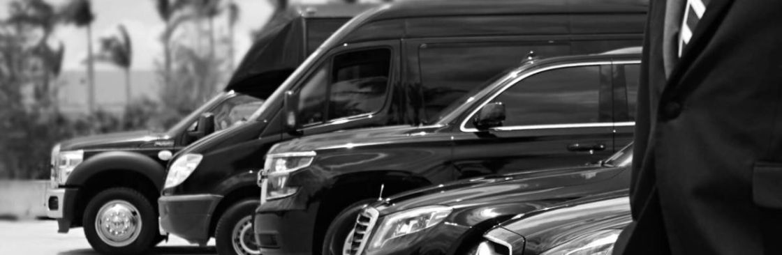 american eagle limousine Cover Image
