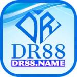 Dr88 Dr88 Profile Picture