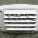Lewisville Dryer Vent Cleaning Profile Picture