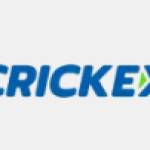 Crickex Crickex Profile Picture