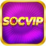 socvip dev Profile Picture