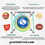 Buy Google Voice Accounts Profile Picture